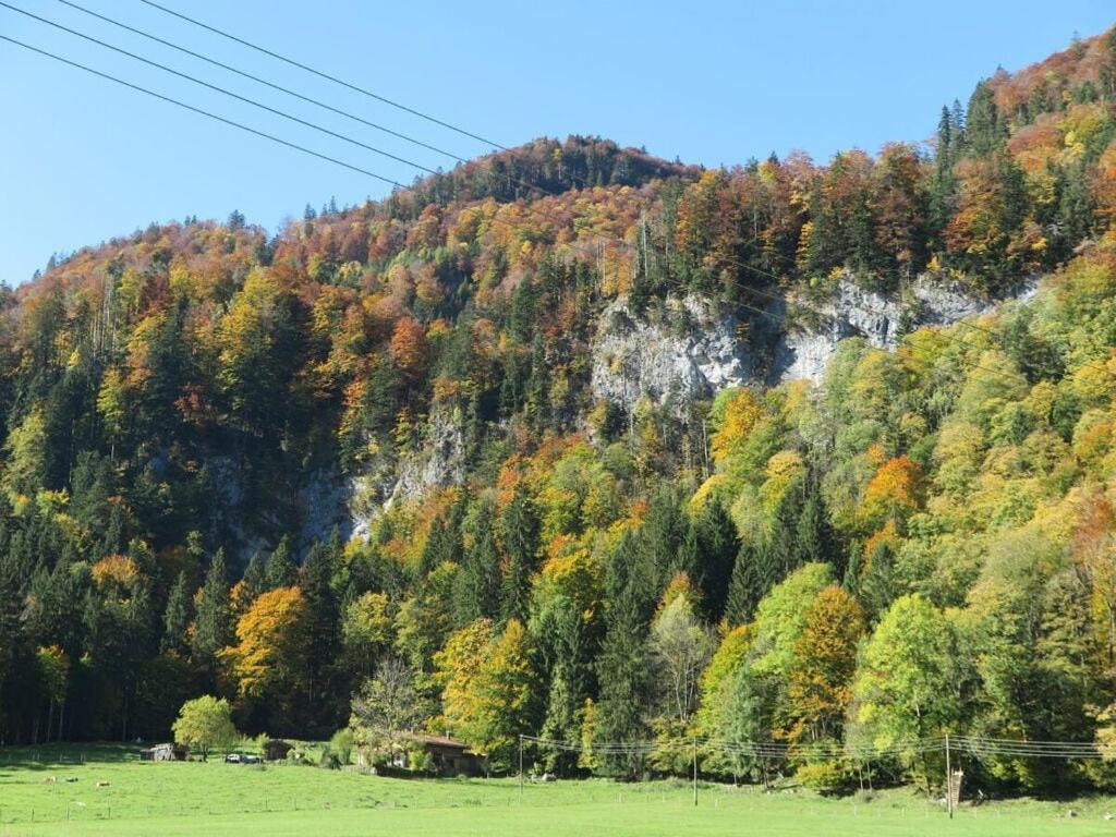 Waterval In Het Huis Boshoek Villa Aschau im Chiemgau Exterior foto